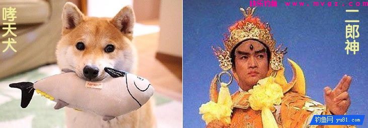 鱼获少？ 因为你的第3只眼有毛病(图1)