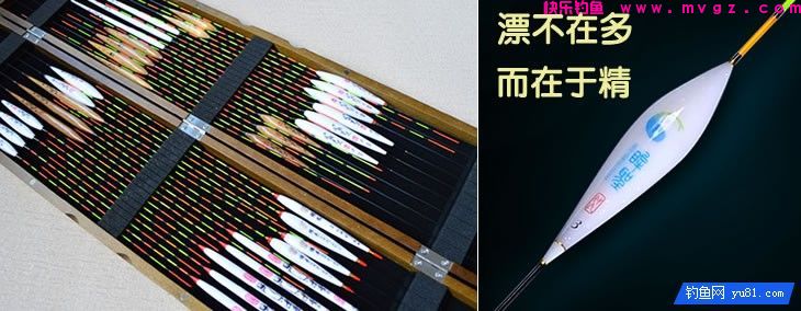 鱼获少？ 因为你的第3只眼有毛病(图2)