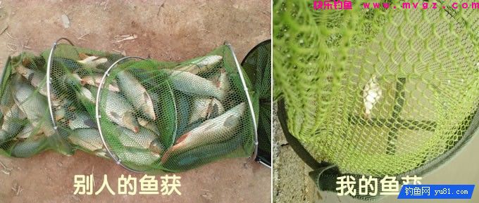 鱼获少？ 因为你的第3只眼有毛病(图3)