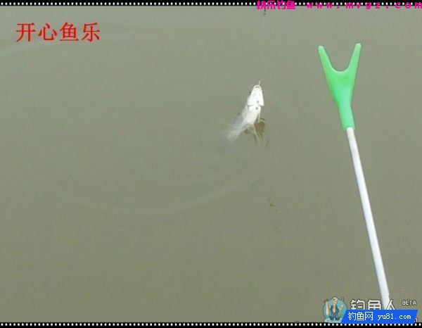 纳米浪彩浮漂的各项超强性能测评(图23)