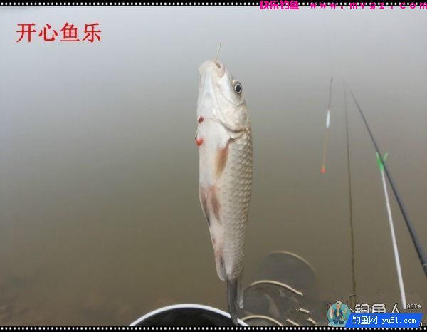 纳米浪彩浮漂的各项超强性能测评(图25)