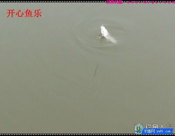 纳米浪彩浮漂的各项超强性能测评(图24)