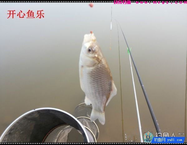 纳米浪彩浮漂的各项超强性能测评(图28)
