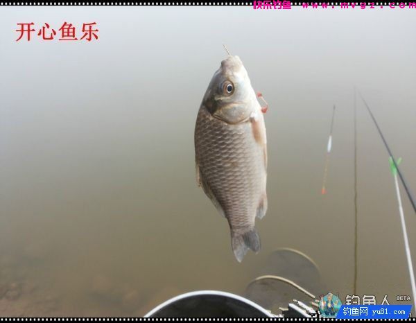 纳米浪彩浮漂的各项超强性能测评(图26)