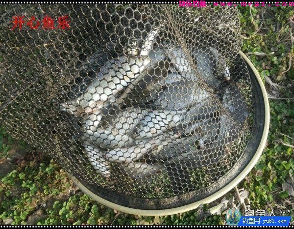 纳米浪彩浮漂的各项超强性能测评(图31)