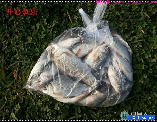 纳米浪彩浮漂的各项超强性能测评(图32)