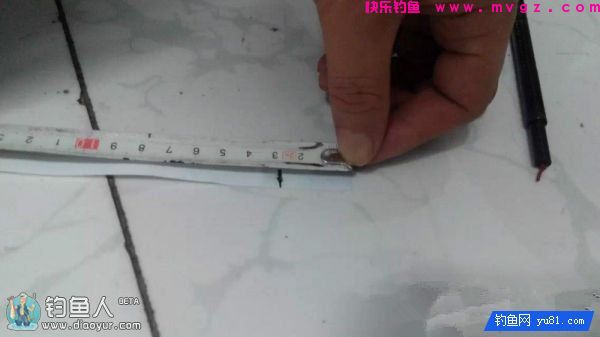 金琥珀3.0米鱼竿的测评(图26)