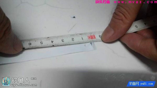 金琥珀3.0米鱼竿的测评(图40)