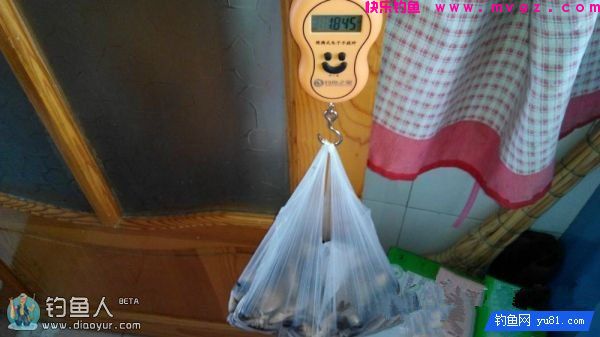金琥珀3.0米鱼竿的测评(图53)