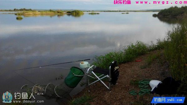 金琥珀3.0米鱼竿的测评(图55)