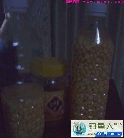 曲酒蜂蜜玉米粒制作（专钓草鱼鲤鱼）介绍(图7)