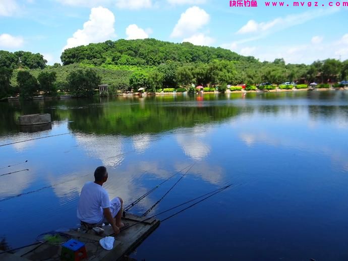 钓草鱼都有哪些神饵？就怕你不用，用了都说好(图3)