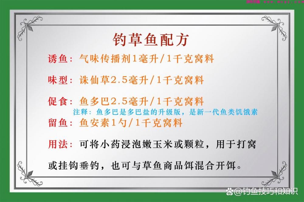 钓草鱼的4个秘诀，选饵、诱鱼、促食和留鱼，四招必杀技(图5)