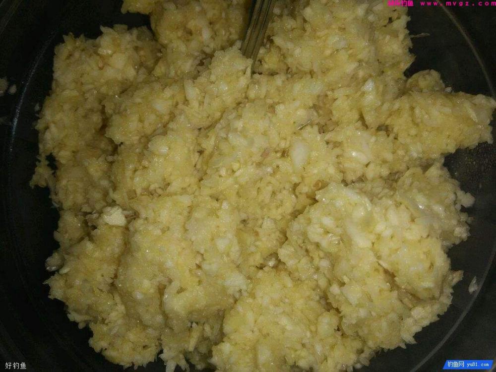5种增加渔获的大蒜钓鱼技巧(图3)