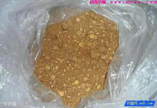 玉米饵料：生玉米还是熟玉米更有效？(图1)