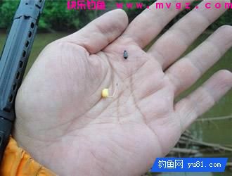 搓饵的3种不同的挂钩方法及作用(图3)