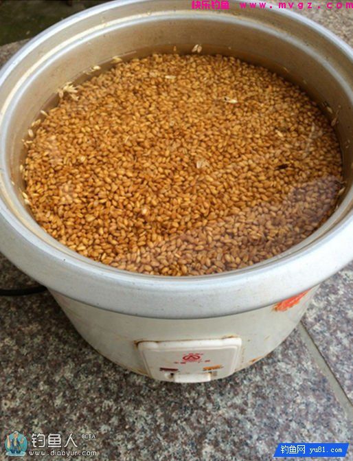 自制屡战屡爆的草鱼、鳊鱼窝料(图2)