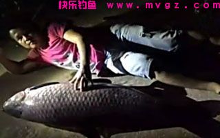 简单实用的钓草鱼窝料饵料配方