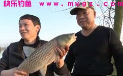 自制香蕉玉米粒绝杀草鱼的饵料