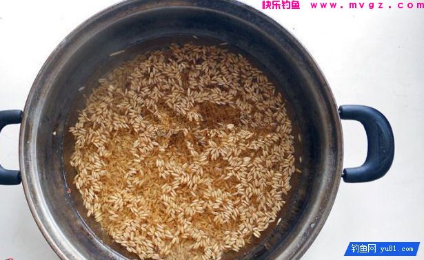 中药麦子包谷钓鲫鱼鲤鱼草鱼饵料（附药酒配方）(图1)