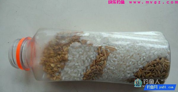 中药麦子包谷钓鲫鱼鲤鱼草鱼饵料（附药酒配方）(图8)