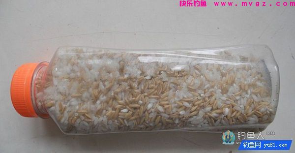 中药麦子包谷钓鲫鱼鲤鱼草鱼饵料（附药酒配方）(图9)