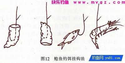 非常全面的淡水鱼类的饵料配方(鲫鲤草鱼鲢鲶罗非)(图1)