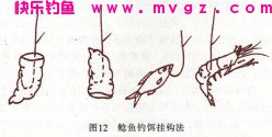 非常全面的淡水鱼类的饵料配方(鲫鲤草鱼鲢鲶罗非)