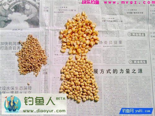 自制诱饵窝料(鲫鱼鲤鱼草鱼通杀)分享(图1)