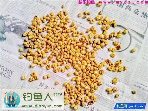 自制诱饵窝料(鲫鱼鲤鱼草鱼通杀)分享(图5)