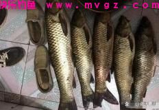 教你冬季如何钓到更多的草鱼(图3)