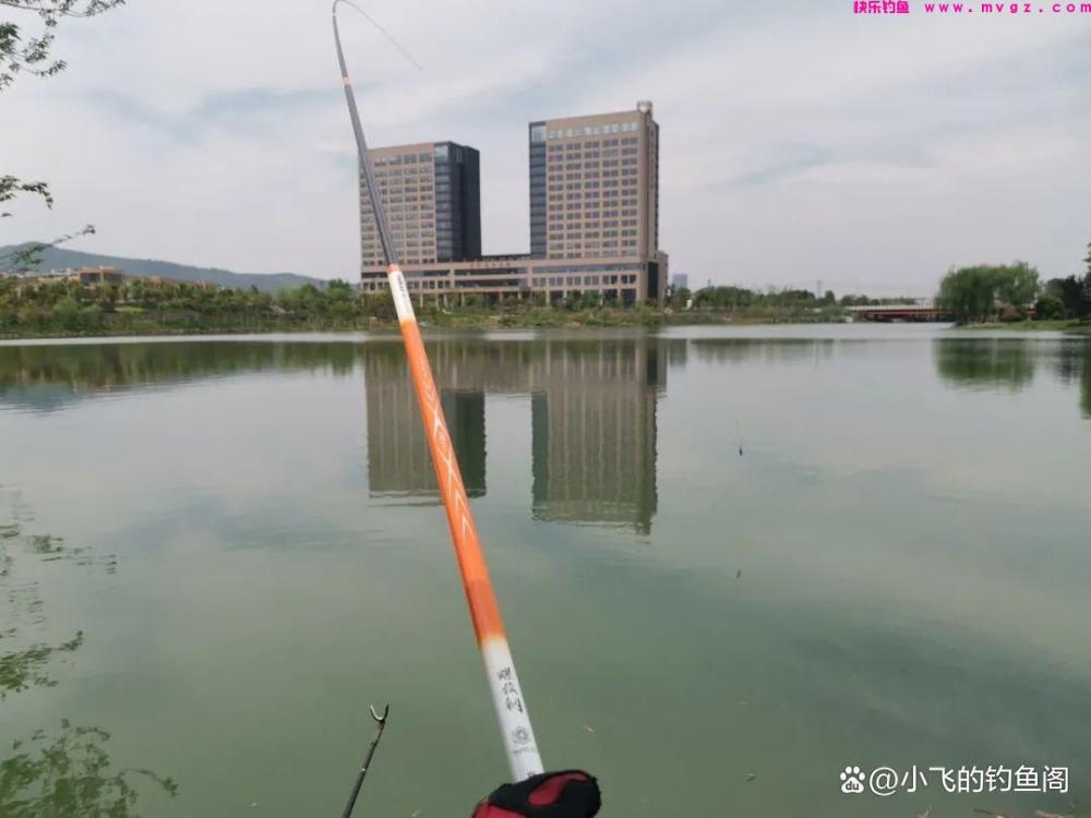 野钓草鱼如何正确调漂？2种超简单的调法，一看就学会！(图1)