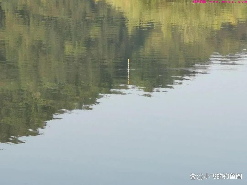 野钓草鱼如何正确调漂？2种超简单的调法，一看就学会！(图4)