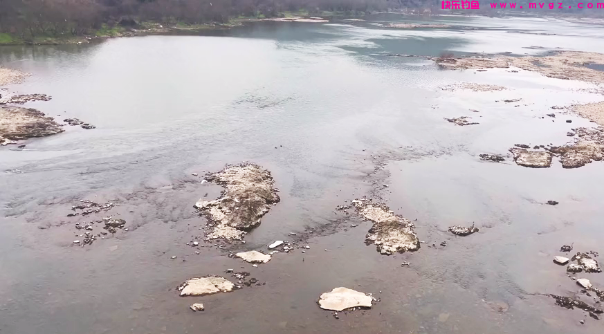 江西钓友在水库下钓鱼，遭遇大量“怪草鱼”，竟是淡水之王？(图2)
