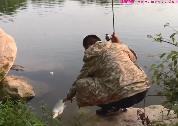 馒头能钓鱼么？大师的操作让我叹为观止，竟然把水库草鱼抠光了(图3)