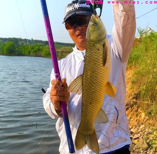 馒头能钓鱼么？大师的操作让我叹为观止，竟然把水库草鱼抠光了(图1)