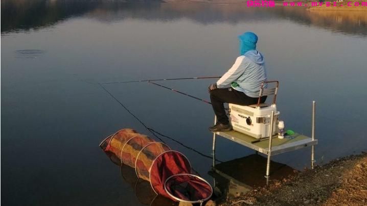 秋季野钓草鱼，如何用饵、选钓位？(图1)