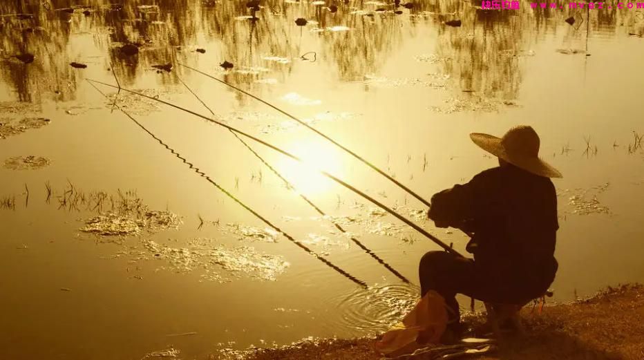 秋季野钓草鱼，如何用饵、选钓位？(图5)