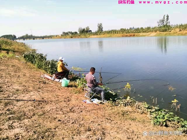 秋季如何垂钓草鱼?注意这三个方面,渔获差不了(图1) 秋季如何垂钓草鱼?注意这三个方面,渔获差不了(图1)