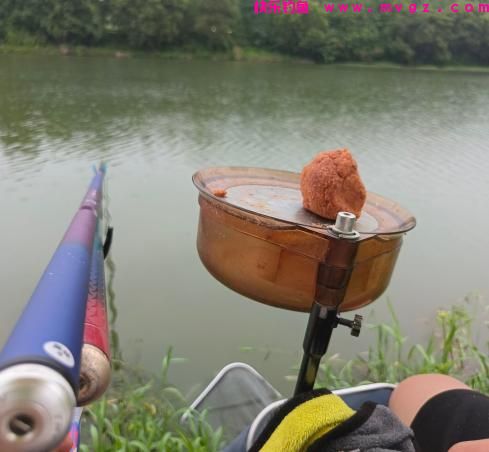 草鱼开口了！夏季钓草鱼，钓浮还是钓底？如何做个湖冠(图5)
