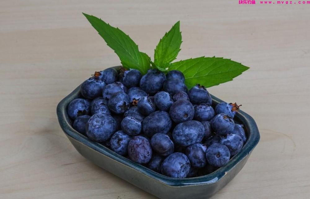 夏钓草鱼还用玉米？说实话早吃腻了！遇上爱吃的它才会一口一个(图4)