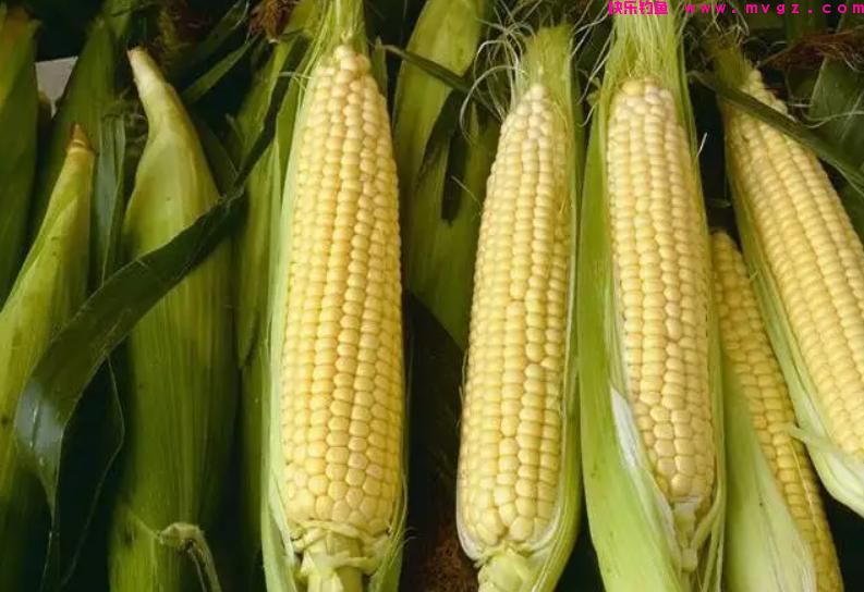 夏季垂钓草鱼，5种“中鱼率”很高的鱼饵，每一种都不错(图7)
