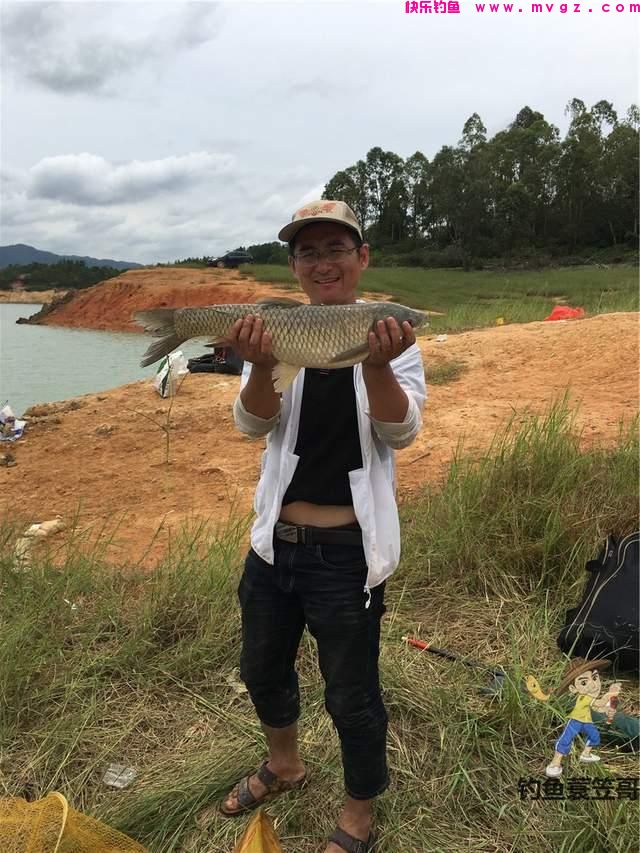 初夏钓草鱼攻略，成本有点儿大，但草鱼确实好吃(图1)