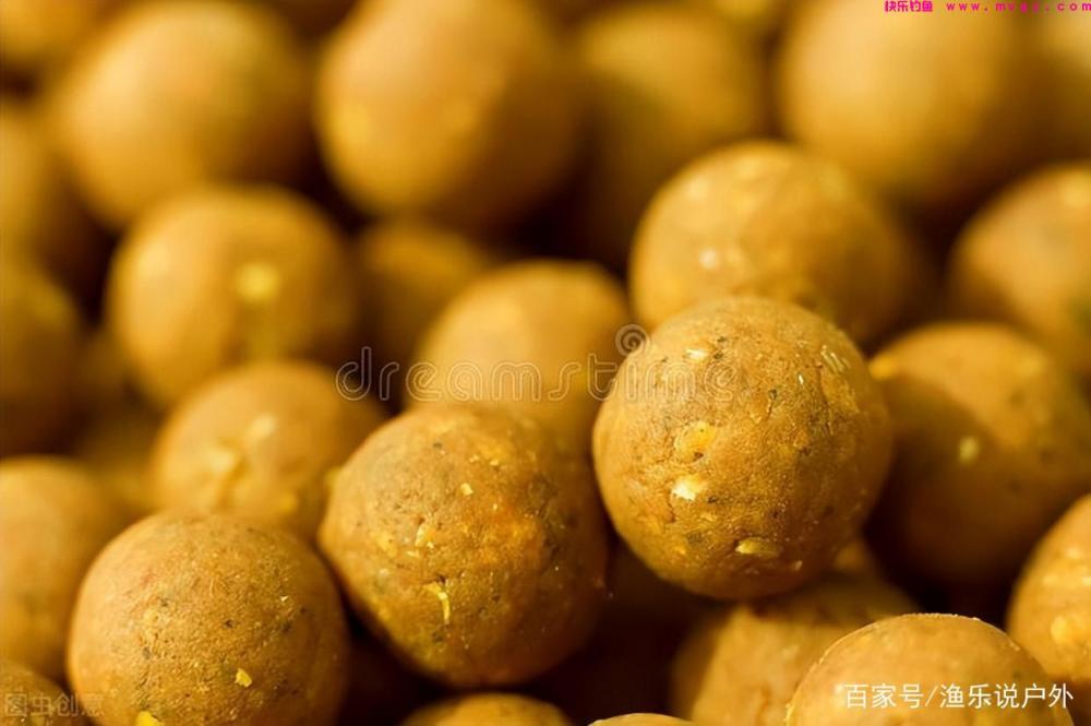夏季钓草鱼的技巧详解钓具、钓饵、钓点、钓法(图5)