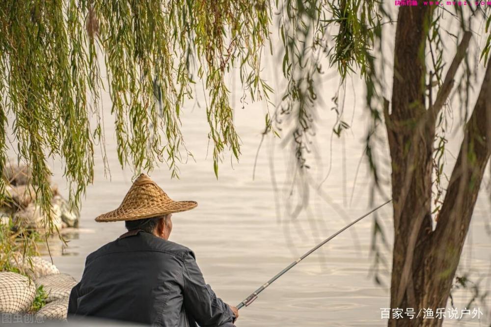 夏季钓草鱼的技巧详解钓具、钓饵、钓点、钓法(图9)