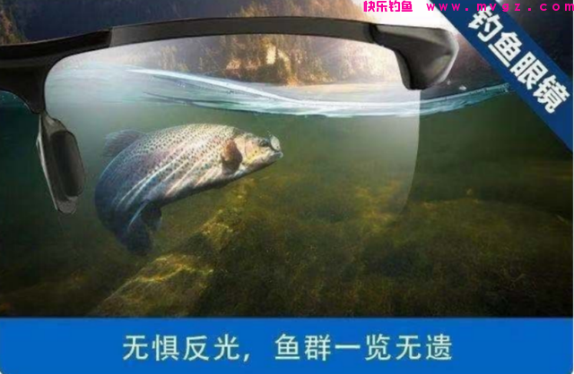 北京大爷在护城河钓上大草鱼，足足1米多长，怕惹事又给放了(图10)