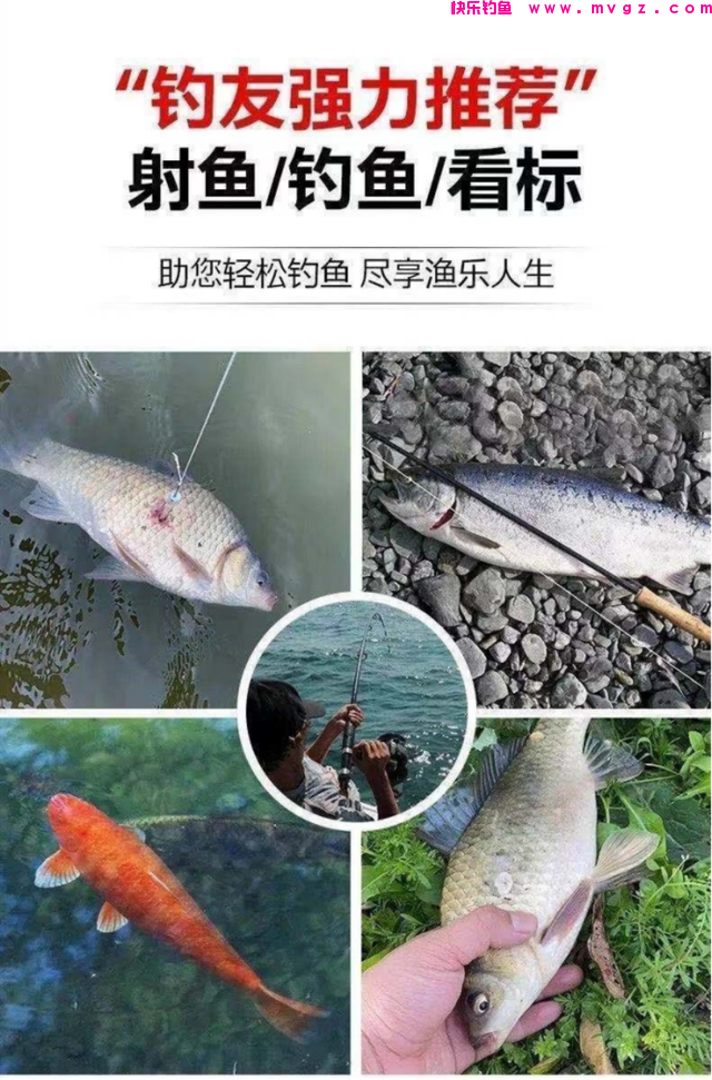 北京大爷在护城河钓上大草鱼，足足1米多长，怕惹事又给放了(图12)