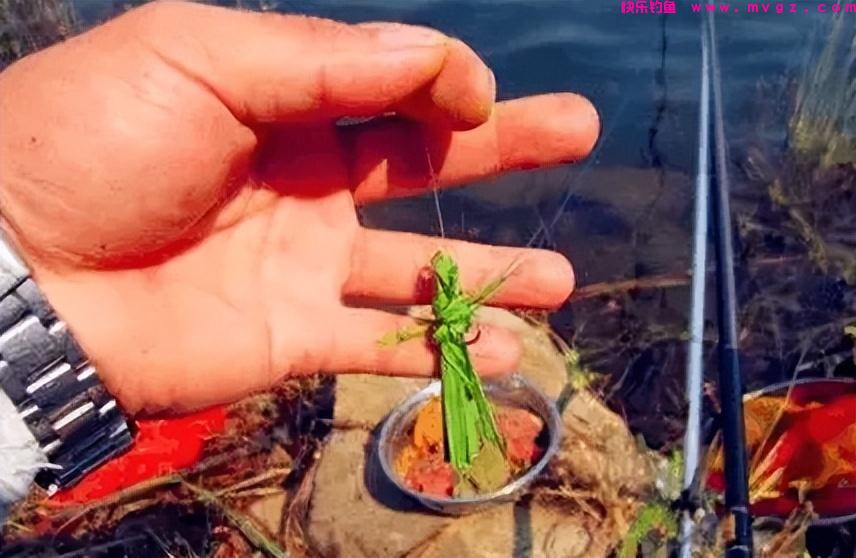 晚春时节钓草鱼，老渔翁透露3个“妙招”，让草鱼有来无回！(图7)
