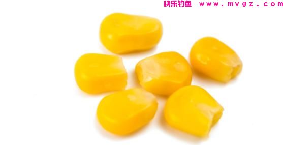 钓草鱼，究竟是用嫩玉米好还是用老玉米钓效果好？(图3)
