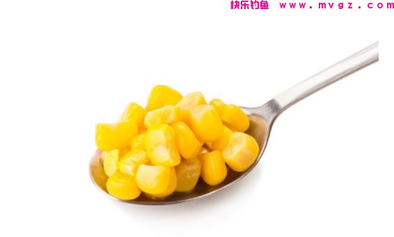钓草鱼，究竟是用嫩玉米好还是用老玉米钓效果好？(图1)